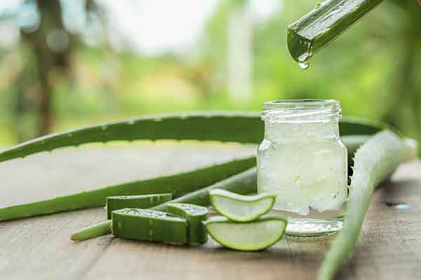 Aloe Vera Creme von Vegas Cosmetics